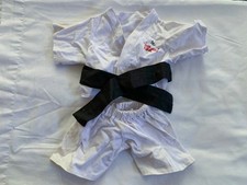 karate bear for sale  STEYNING