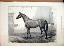 Original old antique for sale  UK