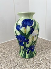 Benaya tube lined for sale  WORCESTER