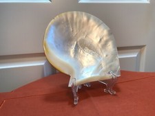 Tahiti muschel servierschale gebraucht kaufen Tahiti muschel servierschale gebraucht kaufen  Köln