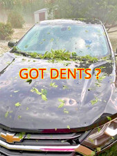 X48 pdr dent for sale  Cass Lake