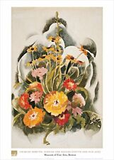 Zinnias daisies charles for sale  Pocasset