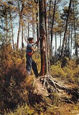 Cpm forêts gascogne d'occasion  Rioz