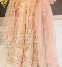 Asian pakistani indian for sale  HAMILTON