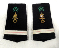 Fourreaux épaule épaulettes d'occasion  Saint-Hippolyte