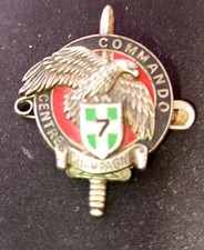 Insigne centre commando d'occasion  Faches-Thumesnil