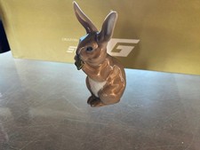 Lapin porcelaine royal d'occasion  Saint-Hilaire-de-Riez