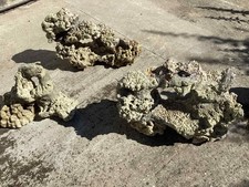 Live rock aquarium for sale  CLACTON-ON-SEA