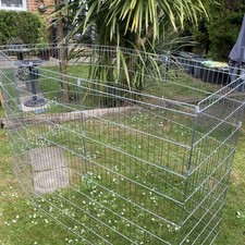 Pgo dog rabbit for sale  CHICHESTER