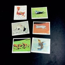 Images panini 1970 d'occasion Images panini 1970 d'occasion  Nantes-