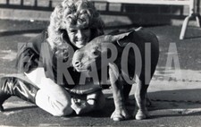 Vintage animali selvatici usato  Roma