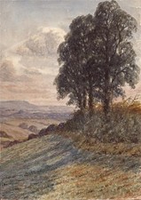 Fabian colenutt watercolour for sale  UK