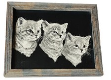 Little kittens etching for sale  Topeka