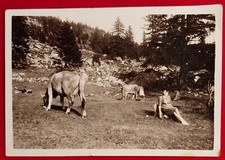 Photo macugnaga panorama usato Photo macugnaga panorama usato  Pistoia