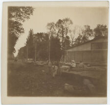 Locating sawmill. woodworking. d'occasion  Expédié en Belgium