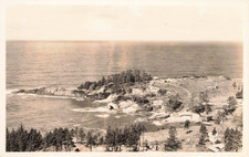 Rppc 1929 bird for sale  Ruskin