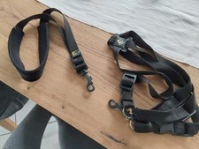 saxophon gurt gebraucht kaufen saxophon gurt gebraucht kaufen Bad Honnef