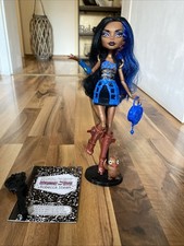 Monster high robecca gebraucht kaufen  Bitburg