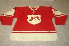 Vintage hockey jersey for sale  Grand Rapids