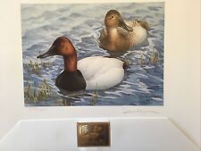 1986 canada duck for sale  Merritt Island