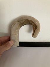 Rams horn walking for sale  CARMARTHEN
