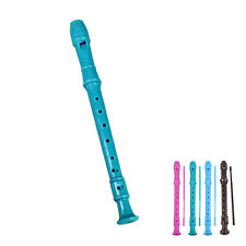 Instrumento gravador soprano 8 furos descant flauta aguda ABS para crianças estudante GDM comprar usado  Enviando para Brazil