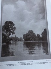 Middlesex 1924 eel for sale  LEICESTER