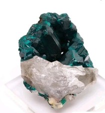 Dioptase crystal cluster for sale  Oneida