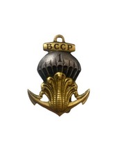 Insigne 1er bccp d'occasion  Marchiennes
