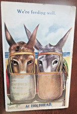 Donkey holyhead vintage for sale Donkey holyhead vintage for sale  TORQUAY