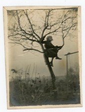 Photo lady perched d'occasion  Expédié en Belgium
