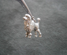 Wells standard poodle for sale  Socorro