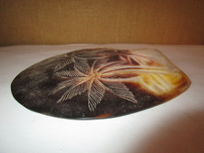 Grande coquille nacre d'occasion  Lessay