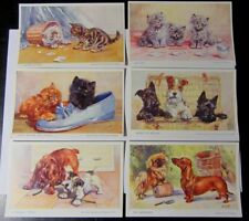 S001 dogs cats for sale  WIGAN