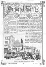 Chatsworth arrival queen for sale Chatsworth arrival queen for sale  GLASGOW