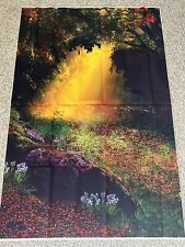Fondo de fotografía de bosque de sueños estudio fotográfico telón de fondo utilería Vynil 5x3 pies segunda mano  Embacar hacia Mexico
