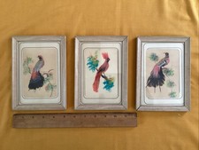 Mexican feather art for sale  Malvern