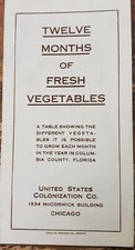 Florida land sales for sale  Springfield
