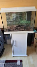 Juwel aquarium primo gebraucht kaufen  Heilbad Heiligenstadt