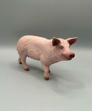Sow female pink for sale  Fayetteville