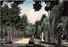 Cartolina postcard pedavena usato  Milano