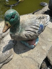 Cute mallard duck for sale  Calverton