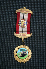 Raob masonic medal for sale  ALCESTER