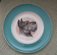 Small scottish terrier for sale  SWINDON
