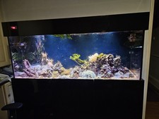 5ft marine tank for sale  CHESTER
