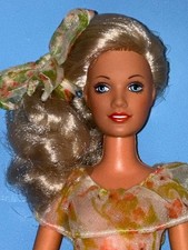 Darci doll garden for sale  Pine Bush