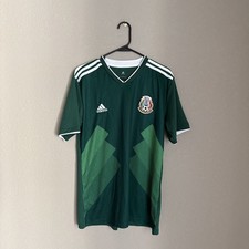 Mexico 2018 2019 for sale  Middlebury
