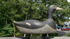1930 coot decoy for sale  Southampton