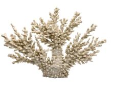 Large piece natural for sale  York