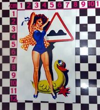 Sexy 1960 pinup for sale  BEWDLEY